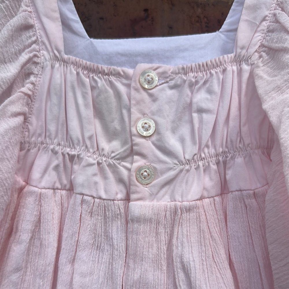 Well Dressed Wolf Daydream Pink Gauze Flutter Cap Sleeve Dress Floral Embroidery - Picture 6 of 8